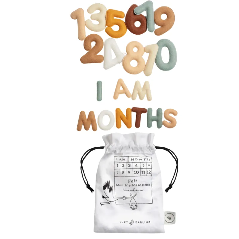 Monthly Milestone Baby Felt Letters - Neutral