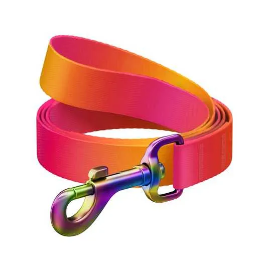 WAUDOG recycled Nylon dog collar with QR code